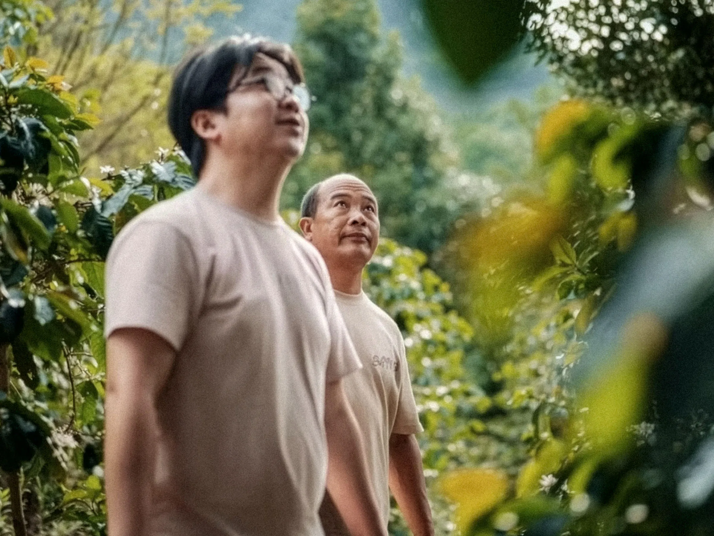 Deux producteurs de Torch Estate au milieu des caféiers en fleur, à Pu’er